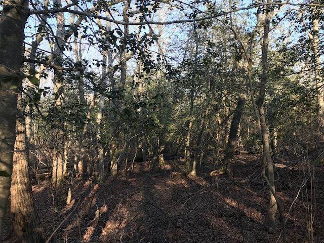 16. Land for Sale at 40 W Woodland Avenue Cape May Court House, New Jersey 08210 United States