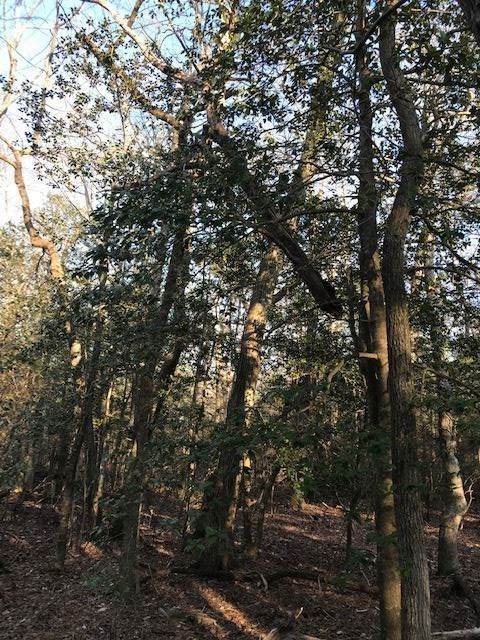 18. Land for Sale at 40 W Woodland Avenue Cape May Court House, New Jersey 08210 United States