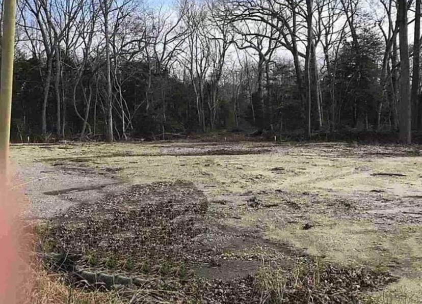1. Land for Sale at 7 Church Road Dennisville, New Jersey 08270 United States