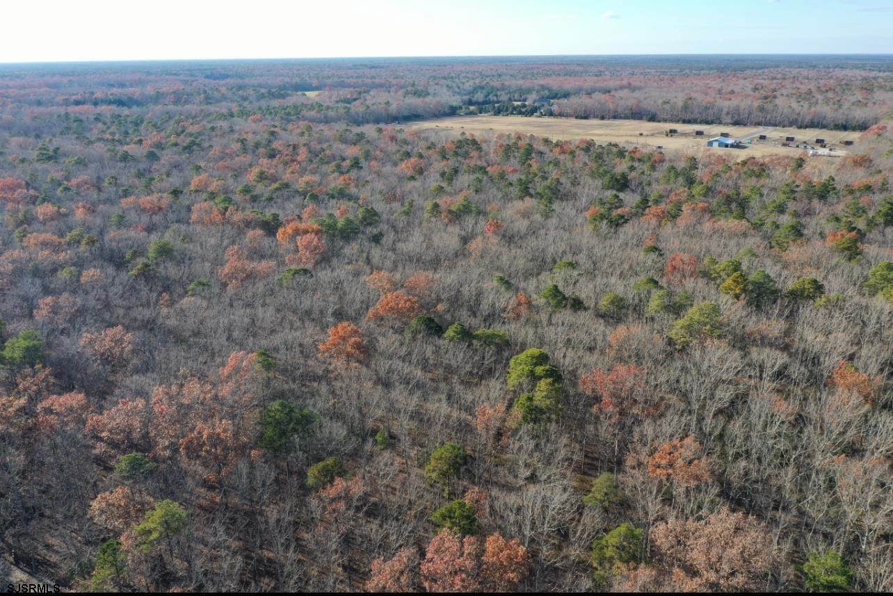 9. Land for Sale at Prague Avenue Galloway Township, New Jersey 08215 United States